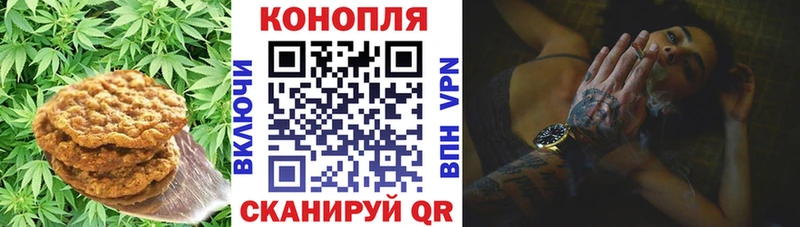 цены   Майкоп  Canna-Cookies марихуана 