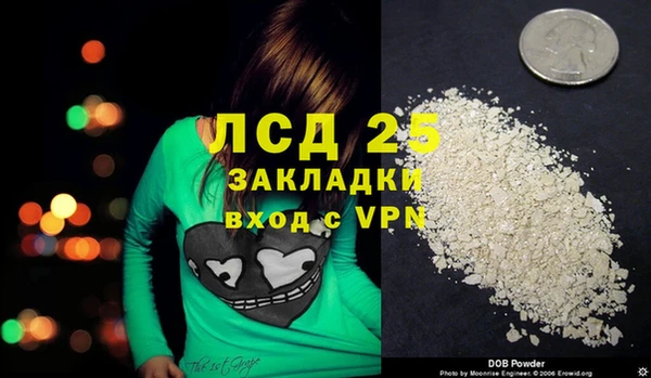 apvp Алексин