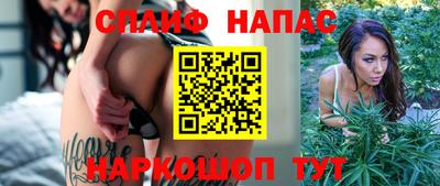 мдпв Заводоуковск