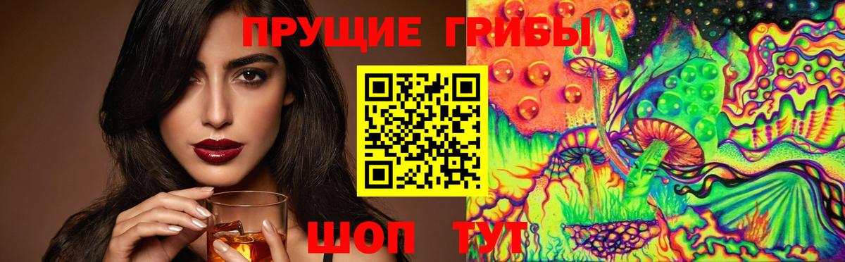 Псилоцибиновые грибы Cubensis Майкоп