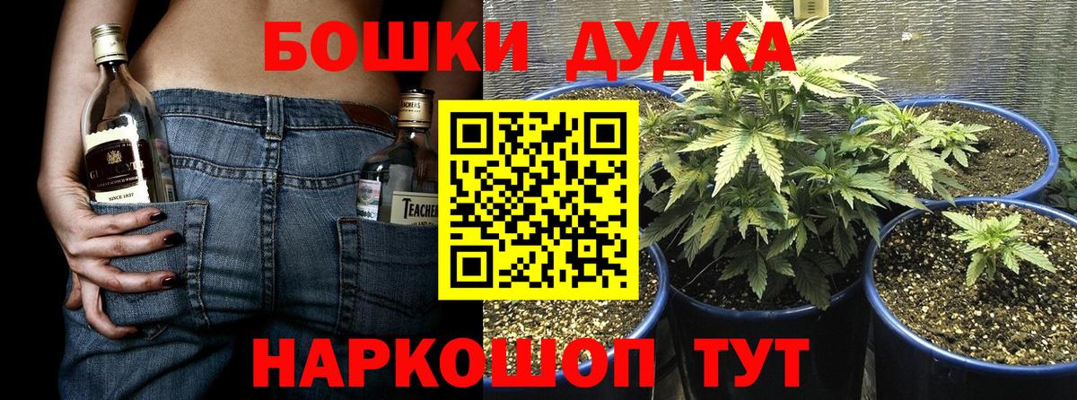 Бошки марихуана Ganja Майкоп